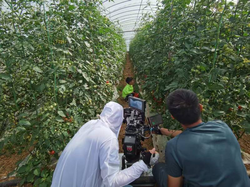 青云谱区产品宣传视频拍摄公司进阶指南，助力品牌抢占传播高地